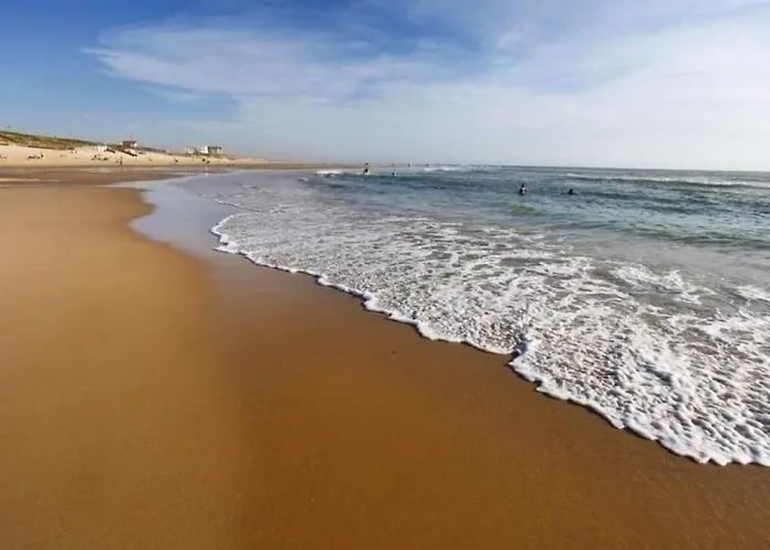 Apartamento à - 300m De La Mer, Balcon Sud, Parking Privé - Fr-1-521-61 Biscarrosse-Plage